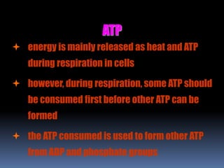 ATP
 energy is mainly released as heat and ATP
during respiration in cells
 however, during respiration, some ATP should
be consumed first before other ATP can be
formed
 the ATP consumed is used to form other ATP
from ADP and phosphate groups
 