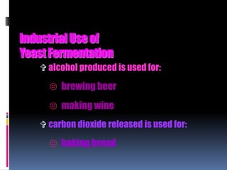IndustrialUseof
YeastFermentation
 alcohol produced is used for:
 brewing beer
 making wine
 carbon dioxide released is used for:
 baking bread
 