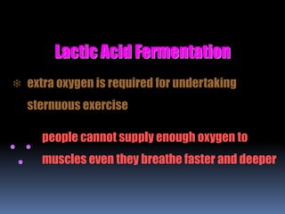 Lactic Acid Fermentation
 extra oxygen is required for undertaking
sternuous exercise
people cannot supply enough oxygen to
muscles even they breathe faster and deeper

 