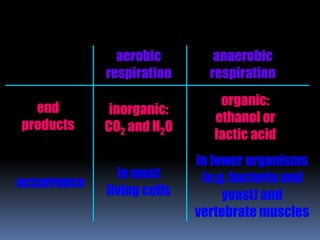 aerobic
respiration
anaerobic
respiration
in most
living cells
in lower organisms
(e.g. bacteria and
yeast) and
vertebrate muscles
occurrence
inorganic:
CO2 and H2O
end
products
organic:
ethanol or
lactic acid
 