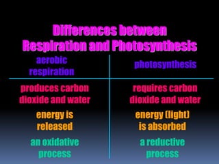 Differences between
Respiration and Photosynthesis
aerobic
respiration
photosynthesis
energy is
released
energy (light)
is absorbed
produces carbon
dioxide and water
requires carbon
dioxide and water
an oxidative
process
a reductive
process
 