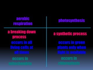 aerobic
respiration
photosynthesis
occurs in all
living cells at
all times
occurs in green
plants only when
light is available
a breaking down
process
a synthetic process
occurs in
mitochondria
occurs in
chloroplasts
 
