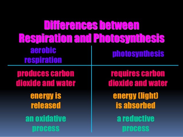 Similarities between photosynthesis and cellular respiration picture