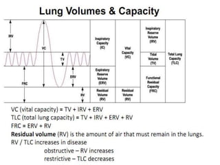 Respiration