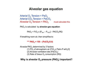 Respiration