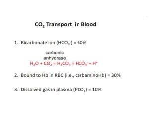 Respiration