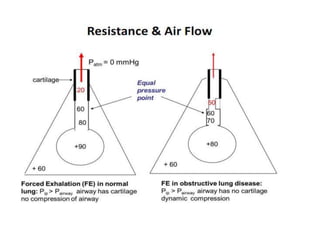 Respiration