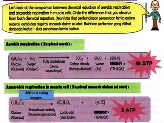 38 ATP
2 ATP
Without using
oxygen
 