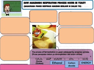 Ethanol Carbon
dioxide
ENERGY
 
