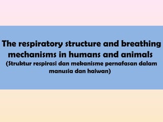 The respiratory structure and breathing
mechanisms in humans and animals
(Struktur respirasi dan mekanisme pernafasan dalam
manusia dan haiwan)
 