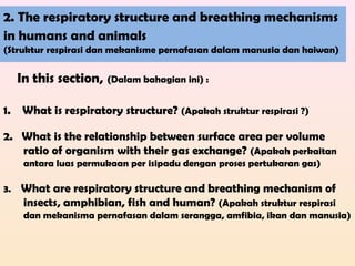 2. The respiratory structure and breathing mechanisms
in humans and animals
(Struktur respirasi dan mekanisme pernafasan dalam manusia dan haiwan)
In this section, (Dalam bahagian ini) :
1. What is respiratory structure? (Apakah struktur respirasi ?)
2. What is the relationship between surface area per volume
ratio of organism with their gas exchange? (Apakah perkaitan
antara luas permukaan per isipadu dengan proses pertukaran gas)
3. What are respiratory structure and breathing mechanism of
insects, amphibian, fish and human? (Apakah struktur respirasi
dan mekanisma pernafasan dalam serangga, amfibia, ikan dan manusia)
 