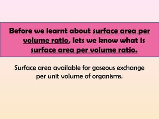 Surface area available for gaseous exchange
per unit volume of organisms.
Before we learnt about surface area per
volume ratio, lets we know what is
surface area per volume ratio.
 