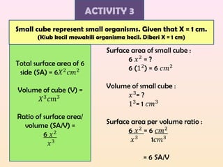 ACTIVITY 3
Small cube represent small organisms. Given that X = 1 cm.
(Kiub kecil mewakili organisma kecil. Diberi X = 1 cm)
 