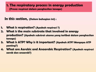 In this section, (Dalam bahagian ini) :
1. What is respiration? (Apakah respirasi ?)
2. What is the main substrate that involved in energy
production? (Apakah substrat utama yang terlibat dalam penghasilan
tenaga)
3. What is ATP? Why is it important? (Apakah ATP? Mengapa ATP
penting?)
4. What are Aerobic and Anaerobic Respiration? (Apakah respirasi
aerob dan anaerob?)
1. The respiratory process in energy production
(Proses respirasi dalam penghasilan tenaga)
 