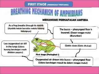 FIRST STAGE (PERINGKAT PERTAMA)
 