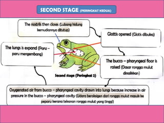 SECOND STAGE (PERINGKAT KEDUA)
 