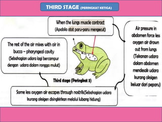 THIRD STAGE (PERINGKAT KETIGA)
 
