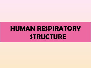 HUMAN RESPIRATORY
STRUCTURE
 