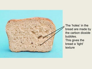 The ‘holes’ in the
bread are made by
the carbon dioxide
bubbles.
This gives the
bread a ‘light’
texture
 