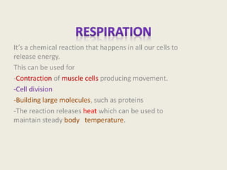 It’s a chemical reaction that happens in all our cells to
release energy.
This can be used for
-Contraction of muscle cells producing movement.
-Cell division
-Building large molecules, such as proteins
-The reaction releases heat which can be used to
maintain steady body temperature.
 