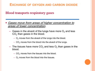 EXCHANGE OF OXYGEN AND CARBON DIOXIDE
 