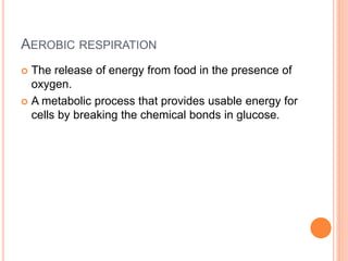 AEROBIC RESPIRATION
 The release of energy from food in the presence of
oxygen.
 A metabolic process that provides usable energy for
cells by breaking the chemical bonds in glucose.
 