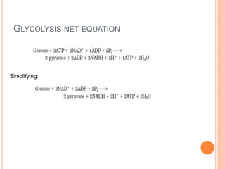 GLYCOLYSIS NET EQUATION
Simplifying:
 