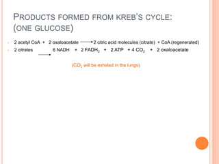PRODUCTS FORMED FROM KREB’S CYCLE:
(ONE GLUCOSE)
• 2 acetyl CoA + 2 oxaloacetate 2 citric acid molecules (citrate) + CoA (regenerated)
• 2 citrates 6 NADH + 2 FADH2 + 2 ATP + 4 CO2 + 2 oxaloacetate
(CO2 will be exhaled in the lungs)
 