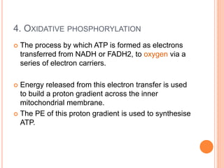 4. OXIDATIVE PHOSPHORYLATION
 The process by which ATP is formed as electrons
transferred from NADH or FADH2, to oxygen via a
series of electron carriers.
 Energy released from this electron transfer is used
to build a proton gradient across the inner
mitochondrial membrane.
 The PE of this proton gradient is used to synthesise
ATP.
 