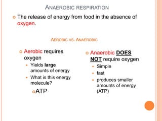 ANAEROBIC RESPIRATION
 The release of energy from food in the absence of
oxygen.
AEROBIC VS. ANAEROBIC
 Anaerobic DOES
NOT require oxygen
 Simple
 fast
 produces smaller
amounts of energy
(ATP)
 Aerobic requires
oxygen
 Yields large
amounts of energy
 What is this energy
molecule?
ATP
 