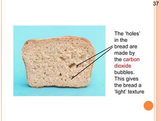 The ‘holes’
in the
bread are
made by
the carbon
dioxide
bubbles.
This gives
the bread a
‘light’ texture
37
 