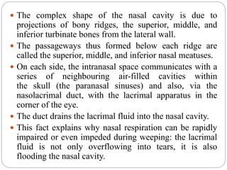  The complex shape of the nasal cavity is due to
projections of bony ridges, the superior, middle, and
inferior turbinate bones from the lateral wall.
 The passageways thus formed below each ridge are
called the superior, middle, and inferior nasal meatuses.
 On each side, the intranasal space communicates with a
series of neighbouring air-filled cavities within
the skull (the paranasal sinuses) and also, via the
nasolacrimal duct, with the lacrimal apparatus in the
corner of the eye.
 The duct drains the lacrimal fluid into the nasal cavity.
 This fact explains why nasal respiration can be rapidly
impaired or even impeded during weeping: the lacrimal
fluid is not only overflowing into tears, it is also
flooding the nasal cavity.
 
