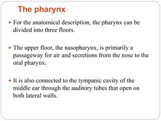 The pharynx
 For the anatomical description, the pharynx can be
divided into three floors.
 The upper floor, the nasopharynx, is primarily a
passageway for air and secretions from the nose to the
oral pharynx.
 It is also connected to the tympanic cavity of the
middle ear through the auditory tubes that open on
both lateral walls.
 