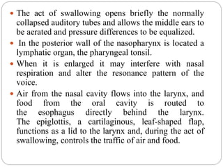  The act of swallowing opens briefly the normally
collapsed auditory tubes and allows the middle ears to
be aerated and pressure differences to be equalized.
 In the posterior wall of the nasopharynx is located a
lymphatic organ, the pharyngeal tonsil.
 When it is enlarged it may interfere with nasal
respiration and alter the resonance pattern of the
voice.
 Air from the nasal cavity flows into the larynx, and
food from the oral cavity is routed to
the esophagus directly behind the larynx.
The epiglottis, a cartilaginous, leaf-shaped flap,
functions as a lid to the larynx and, during the act of
swallowing, controls the traffic of air and food.
 