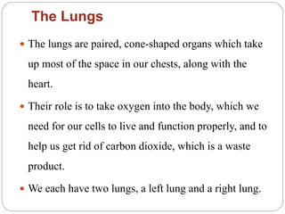The Lungs
 The lungs are paired, cone-shaped organs which take
up most of the space in our chests, along with the
heart.
 Their role is to take oxygen into the body, which we
need for our cells to live and function properly, and to
help us get rid of carbon dioxide, which is a waste
product.
 We each have two lungs, a left lung and a right lung.
 