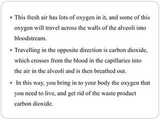  This fresh air has lots of oxygen in it, and some of this
oxygen will travel across the walls of the alveoli into
bloodstream.
 Travelling in the opposite direction is carbon dioxide,
which crosses from the blood in the capillaries into
the air in the alveoli and is then breathed out.
 In this way, you bring in to your body the oxygen that
you need to live, and get rid of the waste product
carbon dioxide.
 