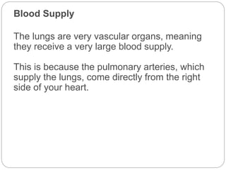 Blood Supply
The lungs are very vascular organs, meaning
they receive a very large blood supply.
This is because the pulmonary arteries, which
supply the lungs, come directly from the right
side of your heart.
 