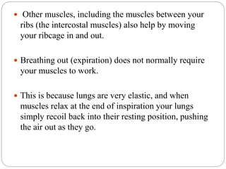  Other muscles, including the muscles between your
ribs (the intercostal muscles) also help by moving
your ribcage in and out.
 Breathing out (expiration) does not normally require
your muscles to work.
 This is because lungs are very elastic, and when
muscles relax at the end of inspiration your lungs
simply recoil back into their resting position, pushing
the air out as they go.
 