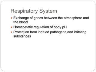 Respiratory System
 Exchange of gases between the atmosphere and
the blood
 Homeostatic regulation of body pH
 Protection from inhaled pathogens and irritating
substances
 