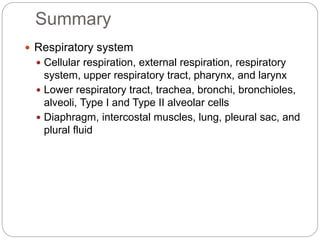 Summary
 Respiratory system
 Cellular respiration, external respiration, respiratory
system, upper respiratory tract, pharynx, and larynx
 Lower respiratory tract, trachea, bronchi, bronchioles,
alveoli, Type I and Type II alveolar cells
 Diaphragm, intercostal muscles, lung, pleural sac, and
plural fluid
 