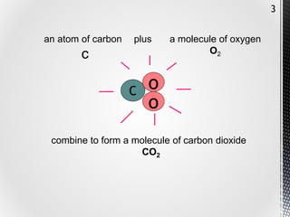 Respiration.pptx