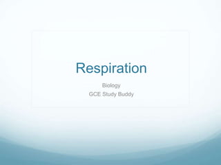 Respiration
Biology
GCE Study Buddy
 