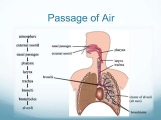 Passage of Air
 