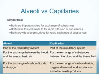 Alveoli vs Capillaries
Similarities:
●Both are important sites for exchange of substances
●Both have thin cell walls to for rapid diffusion of substances
●Both provide a large surface for rapid exchange of substances
Alveoli Capillaries
Part of the respiratory system Part of the circulatory system
For the exchange between the blood
and the atmospheric air
For the exchange of substances
between the blood and the tissue fluid
For the exchange of carbon dioxide
and oxygen
For the exchange of carbon dioxide,
oxygen, dissolved food substances
and other waste products
 