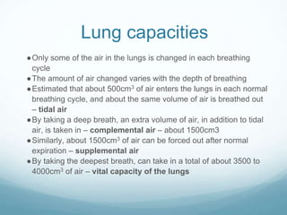 Lung capacities
●Only some of the air in the lungs is changed in each breathing
cycle
●The amount of air changed varies with the depth of breathing
●Estimated that about 500cm3 of air enters the lungs in each normal
breathing cycle, and about the same volume of air is breathed out
– tidal air
●By taking a deep breath, an extra volume of air, in addition to tidal
air, is taken in – complemental air – about 1500cm3
●Similarly, about 1500cm3 of air can be forced out after normal
expiration – supplemental air
●By taking the deepest breath, can take in a total of about 3500 to
4000cm3 of air – vital capacity of the lungs
 