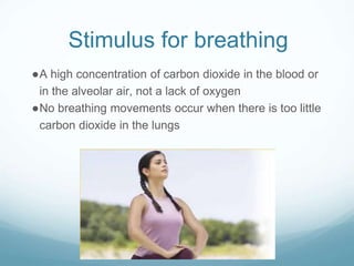 Stimulus for breathing
●A high concentration of carbon dioxide in the blood or
in the alveolar air, not a lack of oxygen
●No breathing movements occur when there is too little
carbon dioxide in the lungs
 