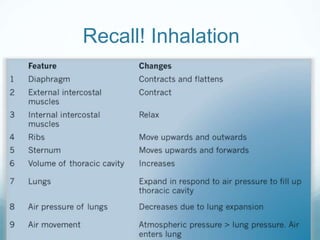 Recall! Inhalation
 