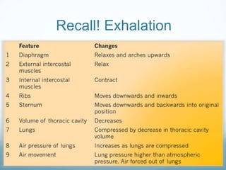 Recall! Exhalation
 
