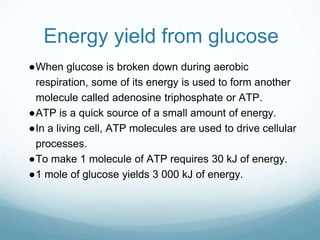 Energy yield from glucose
●When glucose is broken down during aerobic
respiration, some of its energy is used to form another
molecule called adenosine triphosphate or ATP.
●ATP is a quick source of a small amount of energy.
●In a living cell, ATP molecules are used to drive cellular
processes.
●To make 1 molecule of ATP requires 30 kJ of energy.
●1 mole of glucose yields 3 000 kJ of energy.
 