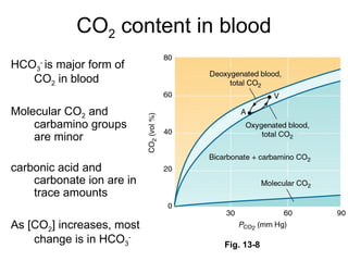 Hco3 Tco2 Respiratory system physiology, lung volumes and capacities | PPT